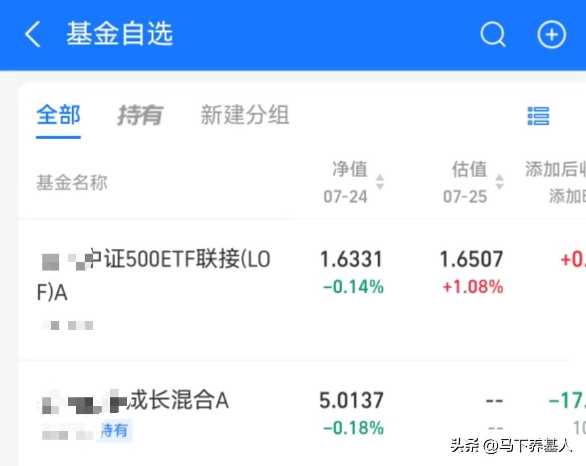 如何查看基金实时估值(看不到基金实时估值怎么办?这两招解决问题)(图4) 如何查看基金实时估值(看不到基金实时估值怎么办?这两招解决问题)(图4)