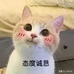 理赔资料遗失怎么办(保险公司把我的理赔资料弄丢了,怎么办)(图5) 理赔资料遗失怎么办(保险公司把我的理赔资料弄丢了,怎么办)(图5)
