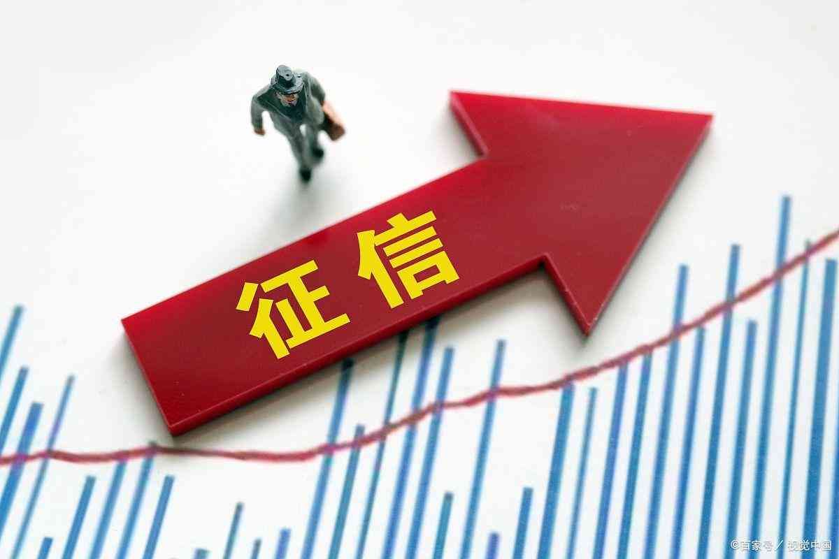 如何改善个人信用记录(如何优化和提高个人征信)(图3) 如何改善个人信用记录(如何优化和提高个人征信)(图3)