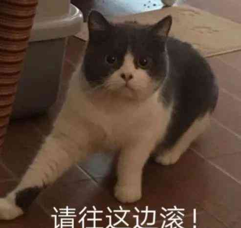 拼多多现金提现100是真的吗(拼多多天天领现金到底有多坑)(图1) 拼多多现金提现100是真的吗(拼多多天天领现金到底有多坑)(图1)