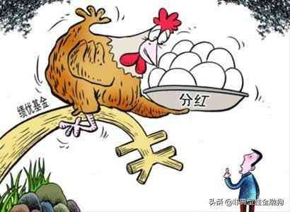 基金分红方式变更流程(基金入门,看这一篇就够了(建议收藏))(图5) 基金分红方式变更流程(基金入门,看这一篇就够了(建议收藏))(图5)