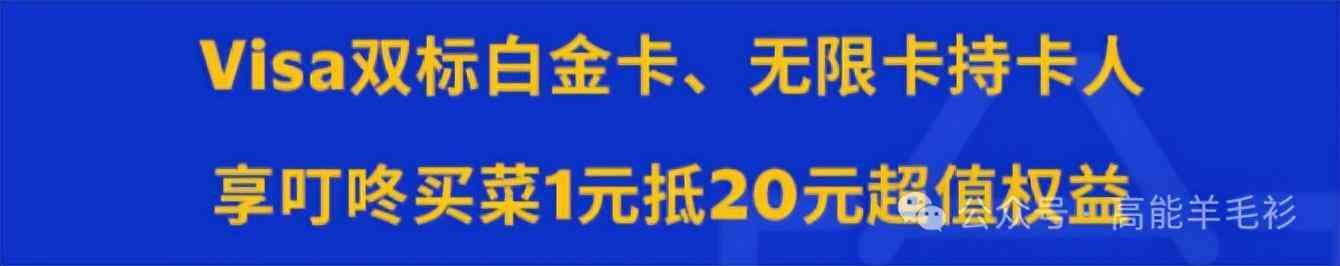 visa卡额度是一年还是一个月(维萨VISA | 简介)(图13) visa卡额度是一年还是一个月(维萨VISA | 简介)(图13)