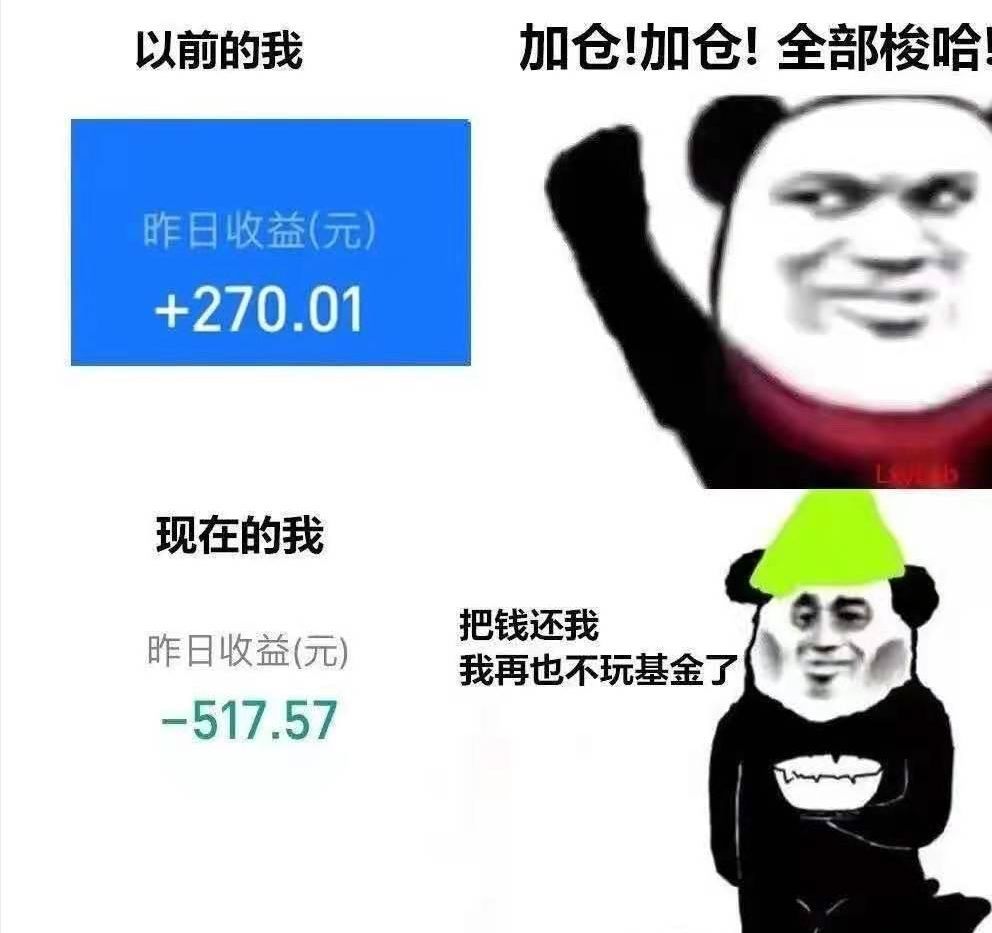 基金绿了什么意思(今天,你的基金又双叒叕变绿了吗?|视野)(图4) 基金绿了什么意思(今天,你的基金又双叒叕变绿了吗?|视野)(图4)