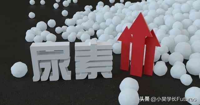 UR是什么期货品种(郑商所尿素期货一手涨一个点盈亏是多少)(图2) UR是什么期货品种(郑商所尿素期货一手涨一个点盈亏是多少)(图2)