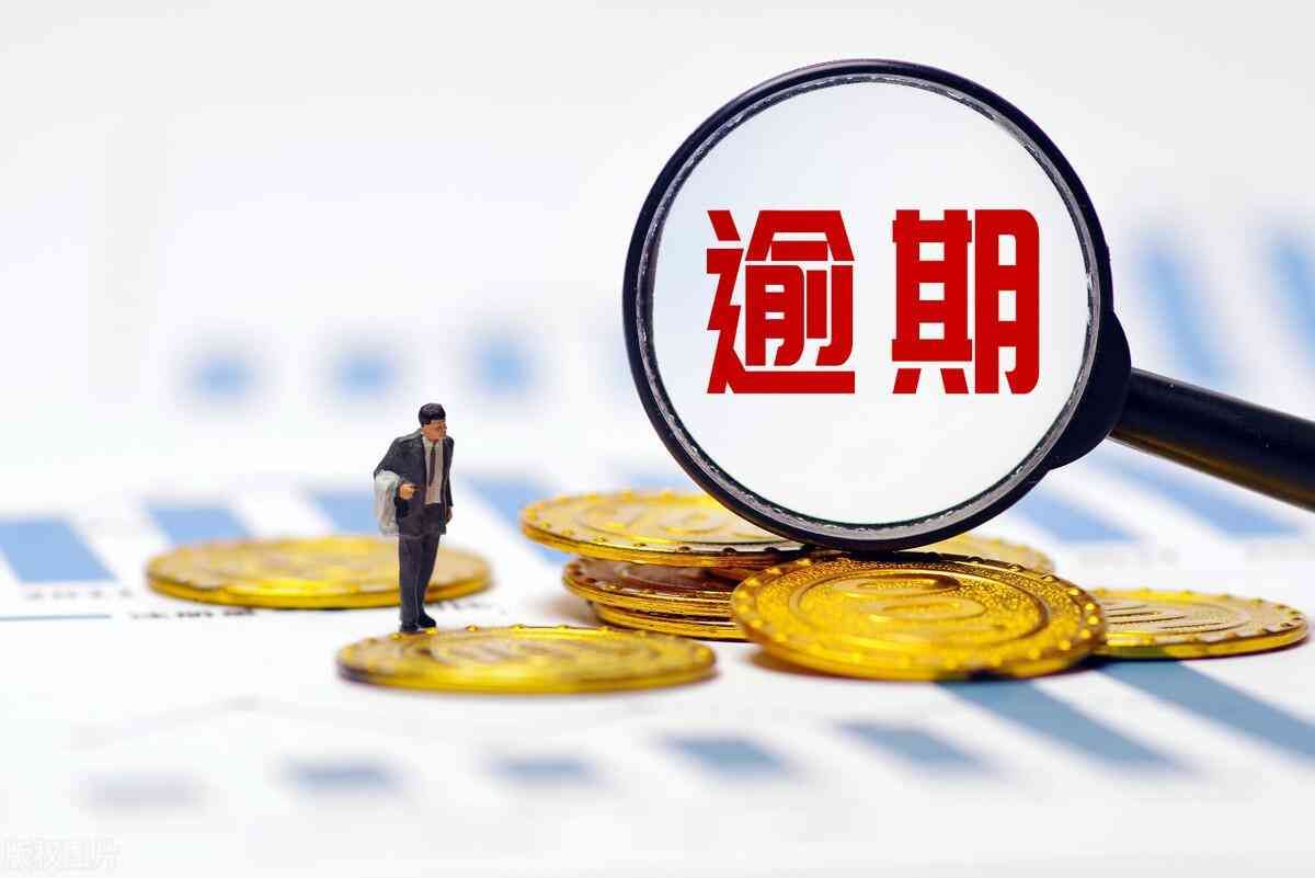 招贷逾期被立案如何应对(贷款逾期被起诉立案后怎么解决?不要慌、正确处理方式在这里)(图1) 招贷逾期被立案如何应对(贷款逾期被起诉立案后怎么解决?不要慌、正确处理方式在这里)(图1)