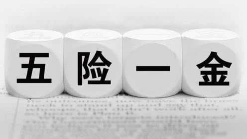 六险二金比五险一金多了什么(五险一金还没弄懂,"六险二金"就来了,新增一险一金有何用)(图2) 六险二金比五险一金多了什么(五险一金还没弄懂,"六险二金"就来了,新增一险一金有何用)(图2)