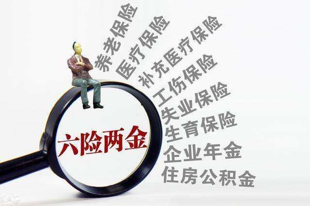 六险二金比五险一金多了什么(五险一金还没弄懂,"六险二金"就来了,新增一险一金有何用)(图4) 六险二金比五险一金多了什么(五险一金还没弄懂,"六险二金"就来了,新增一险一金有何用)(图4)