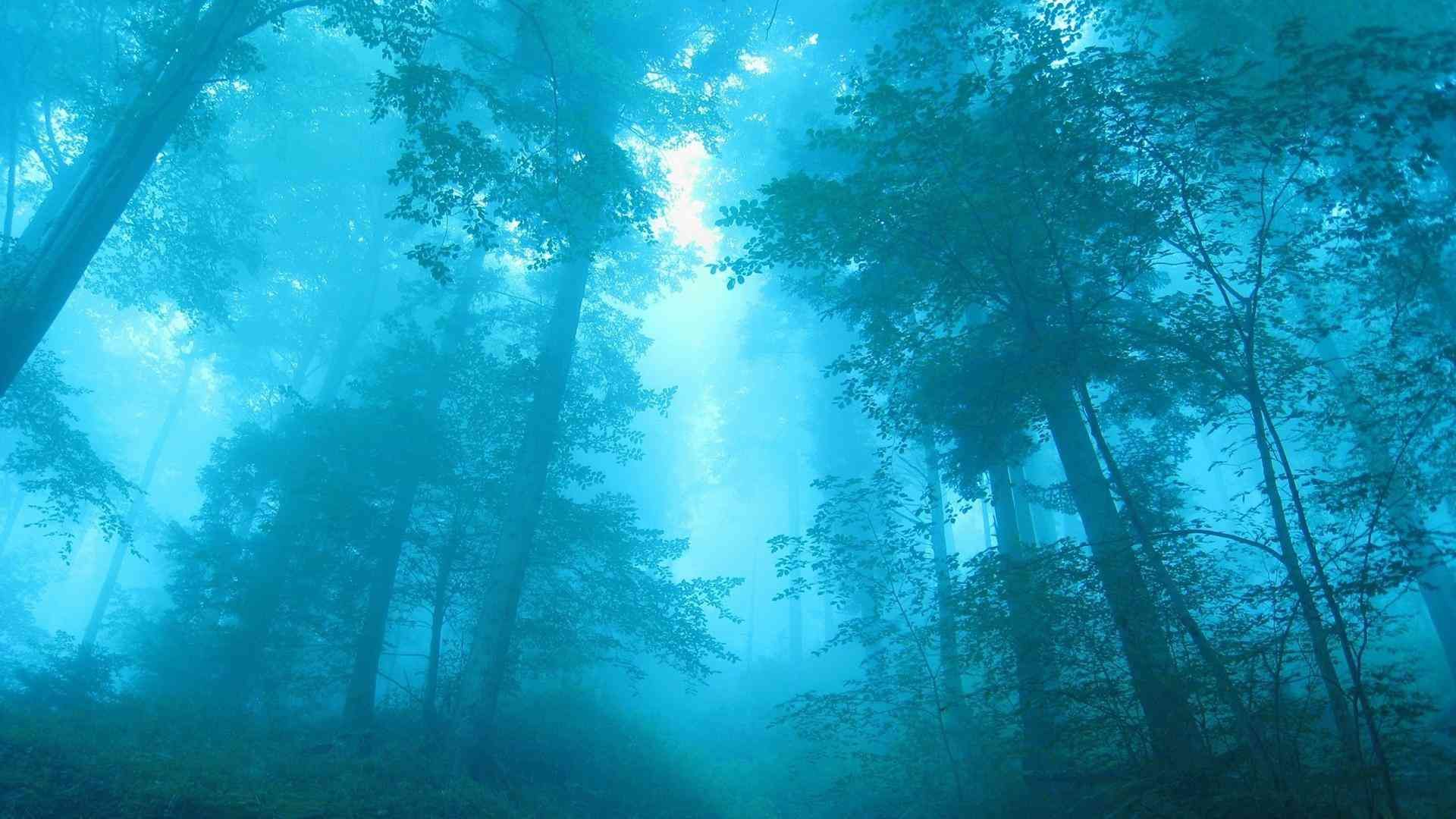 急需用钱哪里能借钱（29个应用26个能借钱！多个生活类APP植入借贷入口）(图5)