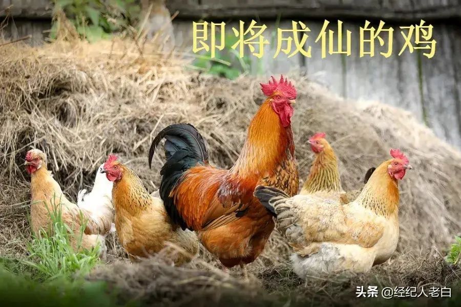 车险商业险是什么意思(80%的人买车险也不了解,商业保险保的是什么)(图3) 车险商业险是什么意思(80%的人买车险也不了解,商业保险保的是什么)(图3)
