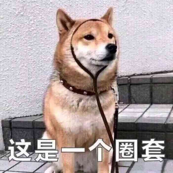 车险提前3个月买的好处(年底买车险的注意了!有人用这个方法可省1000块续保费!)(图12) 车险提前3个月买的好处(年底买车险的注意了!有人用这个方法可省1000块续保费!)(图12)