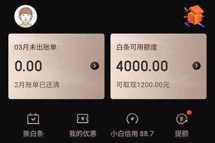 京东白条老是激活不了(京东白条激活失败什么原因怎么办 开通不了解决方法)(图3) 京东白条老是激活不了(京东白条激活失败什么原因怎么办 开通不了解决方法)(图3)
