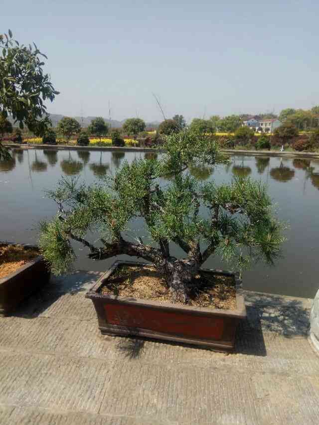 花呗临时额度使用规则(花呗的临时额度,有些人可以用, 有些人最好别用。)(图1) 花呗临时额度使用规则(花呗的临时额度,有些人可以用, 有些人最好别用。)(图1)