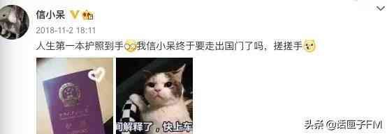 支付宝锦鲤奖品是什么(一夜暴富:曾经拥有一亿的“锦鲤女孩”,如今没钱、没工作、还抑郁)(图5) 支付宝锦鲤奖品是什么(一夜暴富:曾经拥有一亿的“锦鲤女孩”,如今没钱、没工作、还抑郁)(图5)