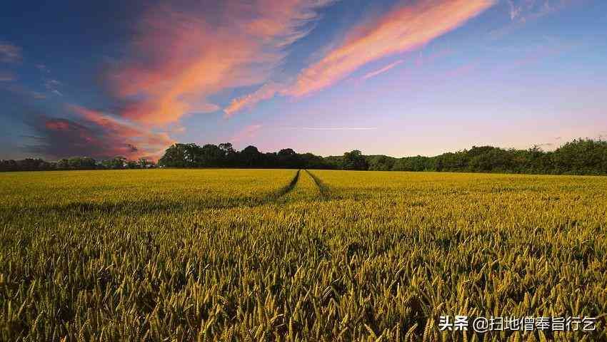 大宗商品是指哪些(财经名词科普贴:一分钟了解什么是大宗商品)(图4) 大宗商品是指哪些(财经名词科普贴:一分钟了解什么是大宗商品)(图4)