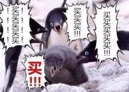 智盈人生交满10年退保(十年前买的智盈人生,我要不要退?)(图2) 智盈人生交满10年退保(十年前买的智盈人生,我要不要退?)(图2)