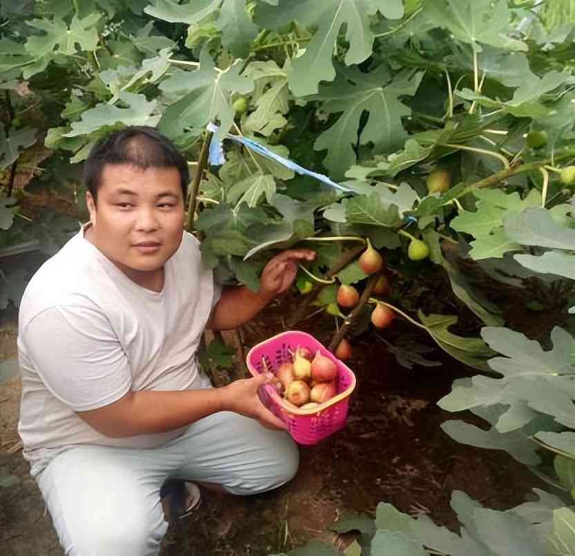 种植什么最赚钱农村(农村“罕见的暴利”种植,1斤卖5500元,堪比黄金还贵,值得推广)(图1) 种植什么最赚钱农村(农村“罕见的暴利”种植,1斤卖5500元,堪比黄金还贵,值得推广)(图1)
