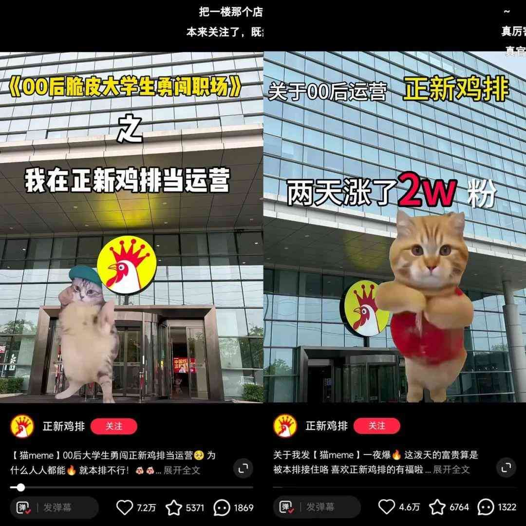 meme是什么意思(在小红书2天涨粉2万,“猫meme”成流量密码?)(图4) meme是什么意思(在小红书2天涨粉2万,“猫meme”成流量密码?)(图4)