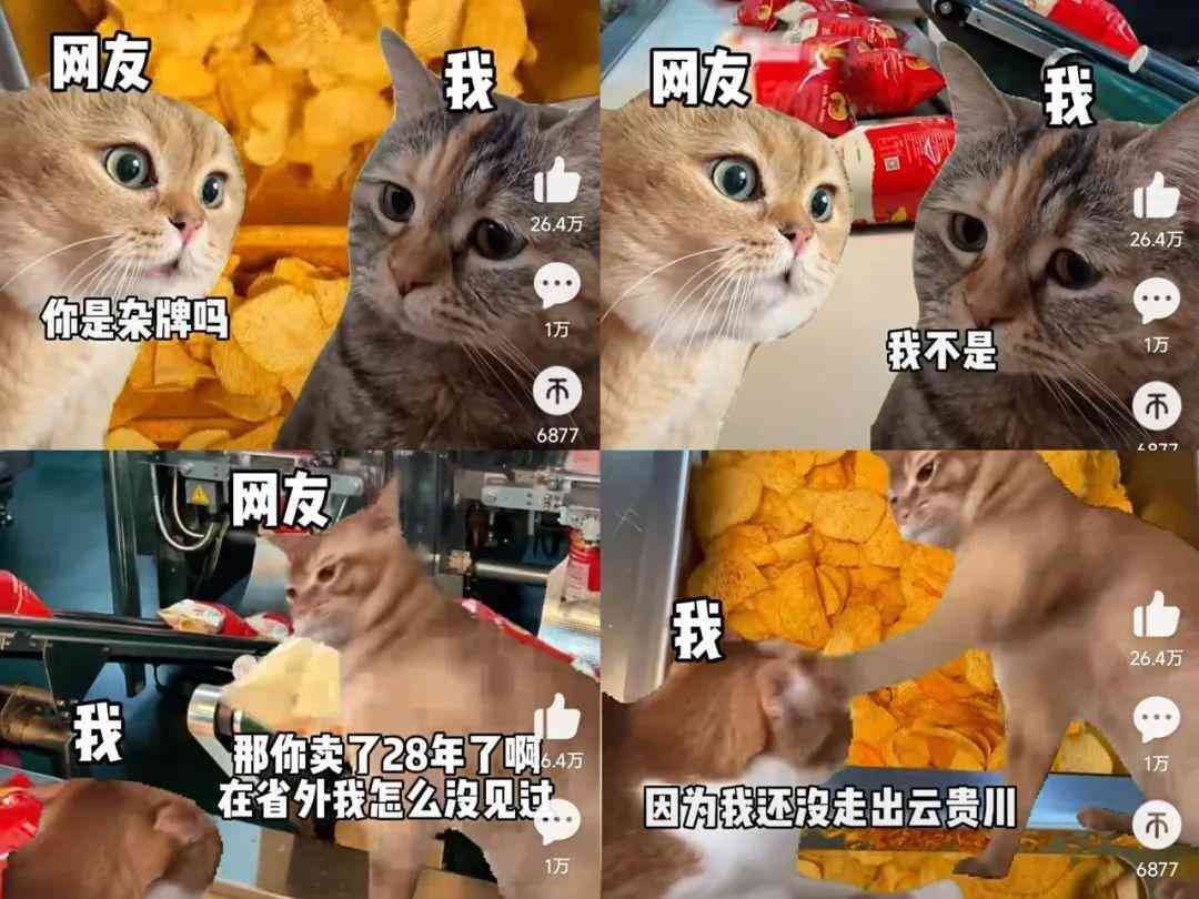 meme是什么意思(在小红书2天涨粉2万,“猫meme”成流量密码?)(图5) meme是什么意思(在小红书2天涨粉2万,“猫meme”成流量密码?)(图5)