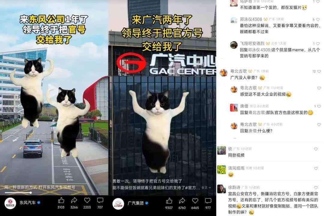 meme是什么意思(在小红书2天涨粉2万,“猫meme”成流量密码?)(图11) meme是什么意思(在小红书2天涨粉2万,“猫meme”成流量密码?)(图11)