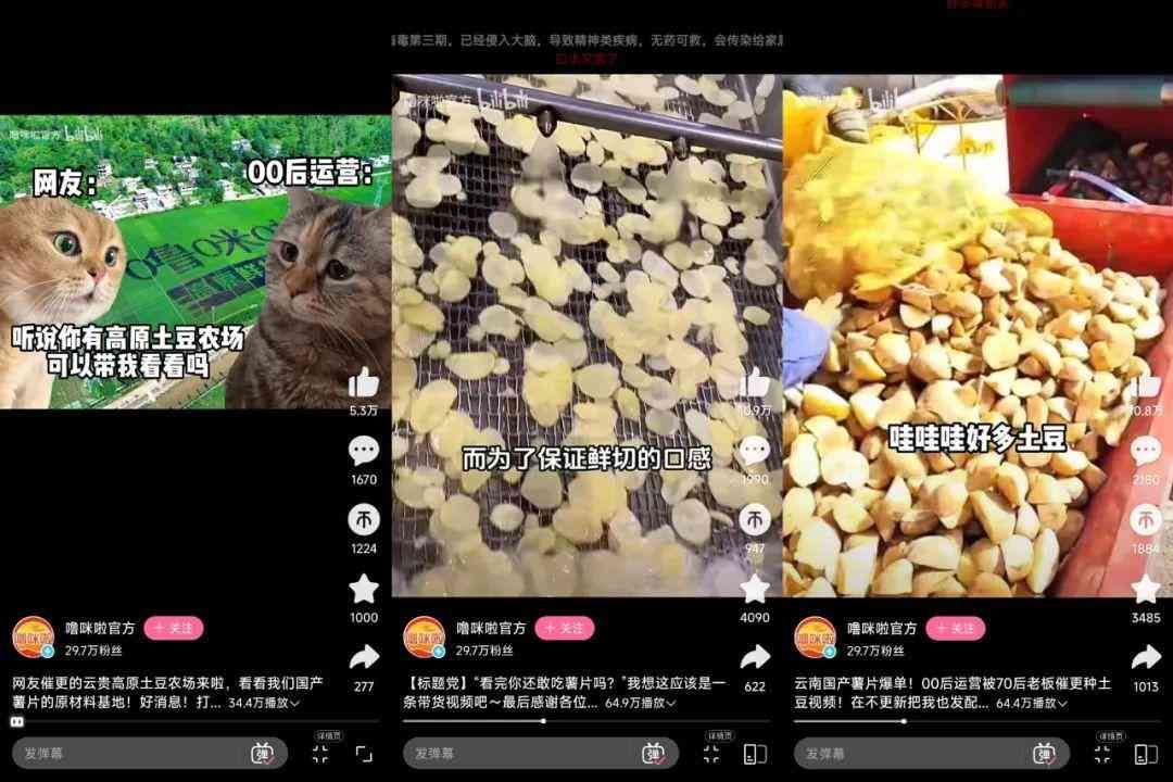 meme是什么意思(在小红书2天涨粉2万,“猫meme”成流量密码?)(图12) meme是什么意思(在小红书2天涨粉2万,“猫meme”成流量密码?)(图12)