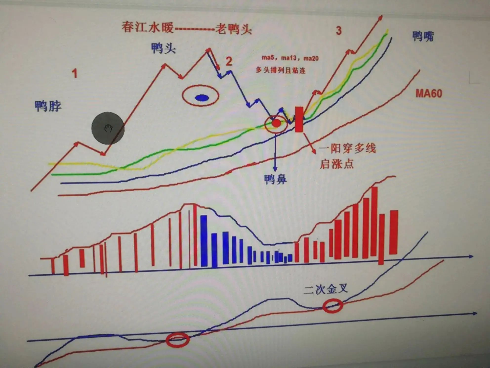 老鸭头走势一般涨幅是多少(老鸭头:高胜率形态)(图1) 老鸭头走势一般涨幅是多少(老鸭头:高胜率形态)(图1)