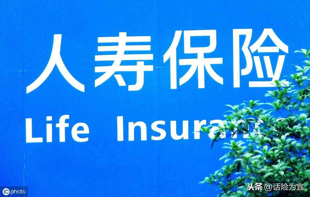 中国人寿险种大全查询(人寿保险大归纳,看看哪款适合你)(图1) 中国人寿险种大全查询(人寿保险大归纳,看看哪款适合你)(图1)