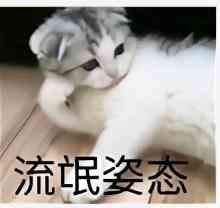 保险买保险怎么买(一击必杀!五分钟教你学会买保险)(图7) 保险买保险怎么买(一击必杀!五分钟教你学会买保险)(图7)
