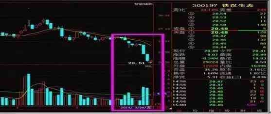 股票无量上涨说明什么(当我把“无量上涨”和“无量下跌”搞清楚了,我就开始盈利了)(图9) 股票无量上涨说明什么(当我把“无量上涨”和“无量下跌”搞清楚了,我就开始盈利了)(图9)