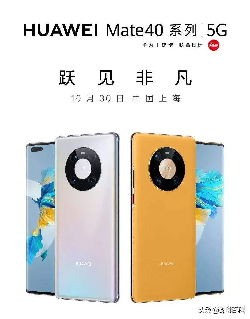 手机信用卡是什么(手机里的信用卡 中信银行数字金融再下一城)(图5) 手机信用卡是什么(手机里的信用卡 中信银行数字金融再下一城)(图5)