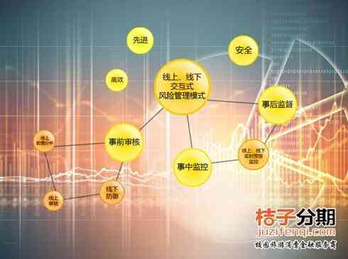 桔子分期交易复核多久（解析大数据时代下“桔子分期”的风险管理模式）(图1)