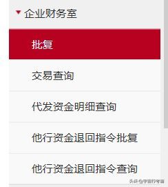 代发工资一般怎么操作的(工行代发工资流程(最新))(图14) 代发工资一般怎么操作的(工行代发工资流程(最新))(图14)