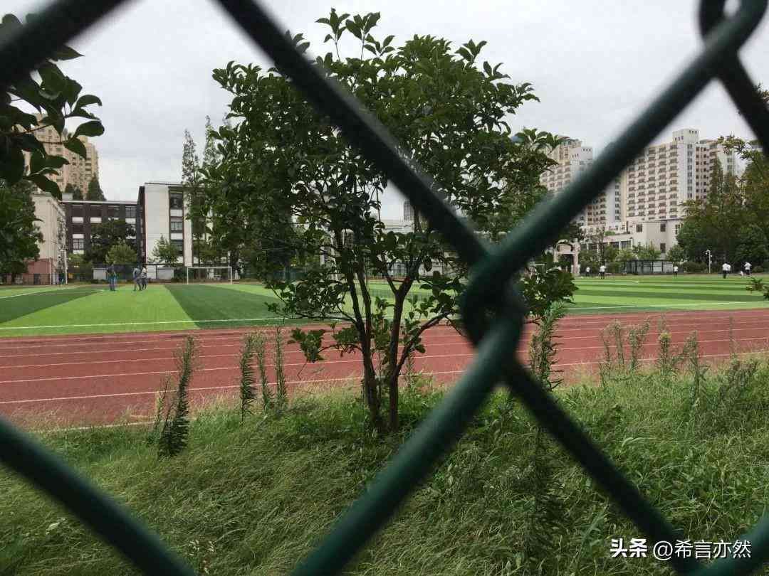 什么是量化交易?不会写程序就无缘量化交易了吗?(图1) 什么是量化交易?不会写程序就无缘量化交易了吗?(图1)