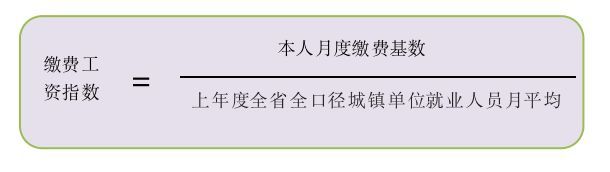 养老金中的平均缴费工资指数是什么?该如何计算?(图1) 养老金中的平均缴费工资指数是什么?该如何计算?(图1)