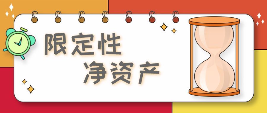 介绍一个新名词“限定性净资产”(图1) 介绍一个新名词“限定性净资产”(图1)