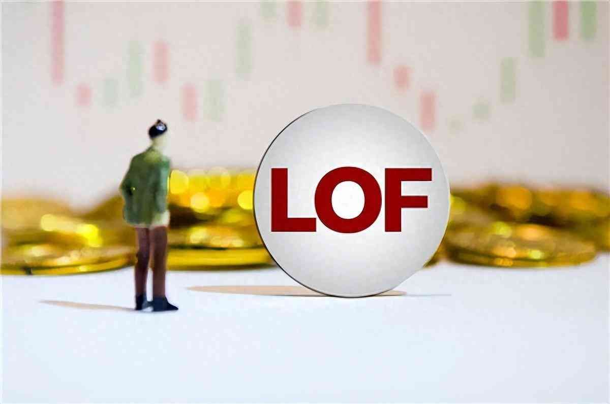 lof基金什么意思,一文带你了解什么是LOF以及如何选择适合自己的LOF基金?(图1) lof基金什么意思,一文带你了解什么是LOF以及如何选择适合自己的LOF基金?(图1)