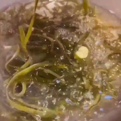咸海带丝怎么做好吃又简单(#夏日开胃餐#凉拌海带丝|开胃解惨,适合夏天的味道)(图3) 咸海带丝怎么做好吃又简单(#夏日开胃餐#凉拌海带丝|开胃解惨,适合夏天的味道)(图3)