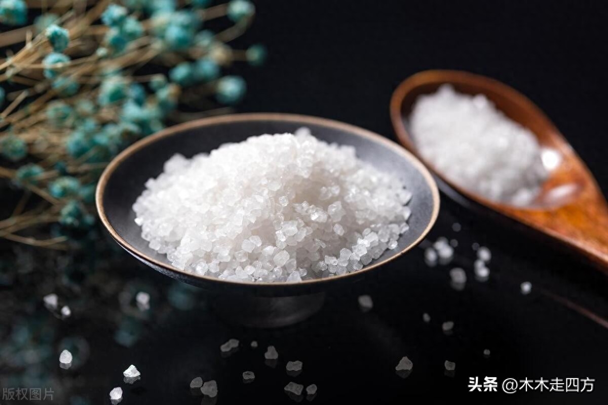 家用食用盐最好选哪种(家庭食盐买什么盐最好)(图4) 家用食用盐最好选哪种(家庭食盐买什么盐最好)(图4)
