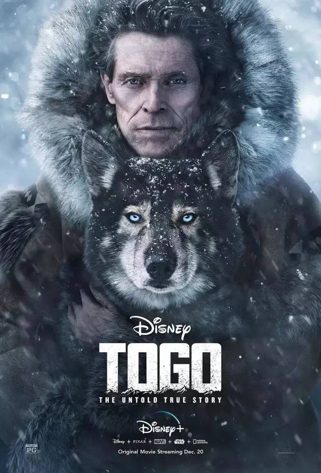 关于雪橇狗的电影(8.8分,真实事件改编,年度最佳狗片)(图3) 关于雪橇狗的电影(8.8分,真实事件改编,年度最佳狗片)(图3)
