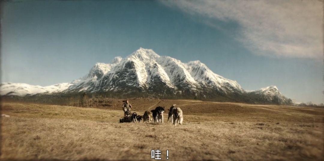关于雪橇狗的电影(8.8分,真实事件改编,年度最佳狗片)(图21) 关于雪橇狗的电影(8.8分,真实事件改编,年度最佳狗片)(图21)