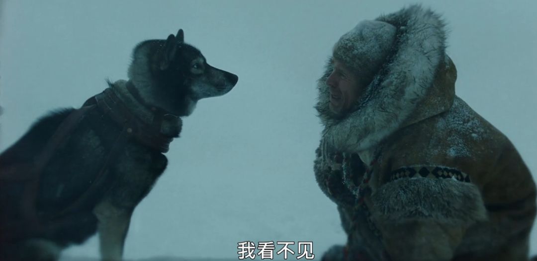 关于雪橇狗的电影(8.8分,真实事件改编,年度最佳狗片)(图33) 关于雪橇狗的电影(8.8分,真实事件改编,年度最佳狗片)(图33)
