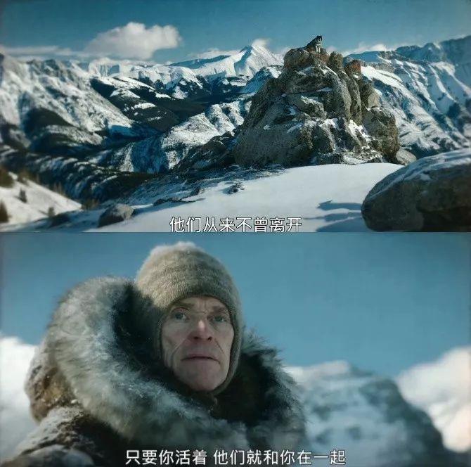 关于雪橇狗的电影(8.8分,真实事件改编,年度最佳狗片)(图40) 关于雪橇狗的电影(8.8分,真实事件改编,年度最佳狗片)(图40)