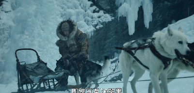 关于雪橇狗的电影(8.8分,真实事件改编,年度最佳狗片)(图34) 关于雪橇狗的电影(8.8分,真实事件改编,年度最佳狗片)(图34)