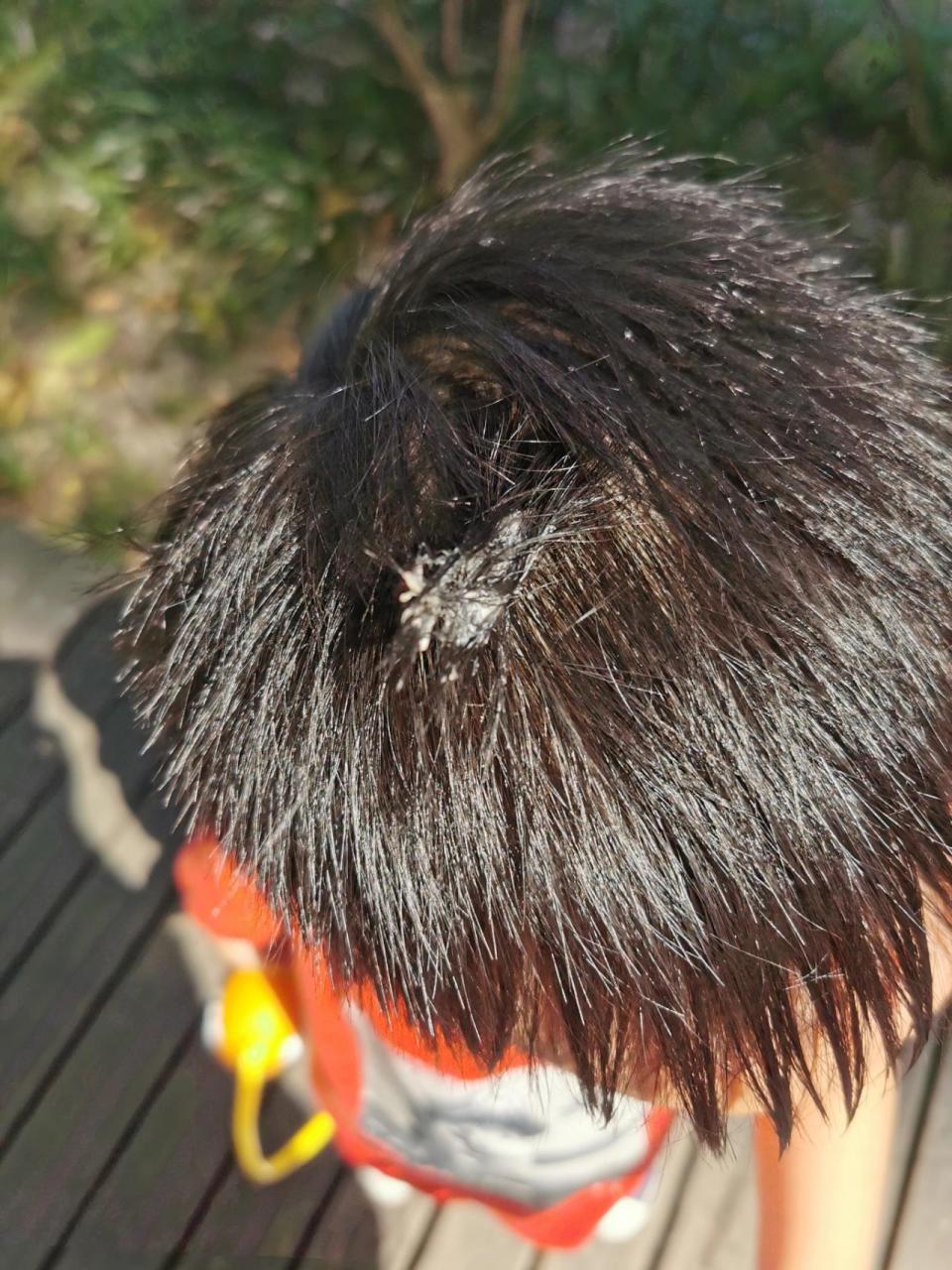 正月里剪头发倒霉一年(正月剪头的秘密你知道吗?为什么老人们都说,正月里不能剪头)(图2) 正月里剪头发倒霉一年(正月剪头的秘密你知道吗?为什么老人们都说,正月里不能剪头)(图2)