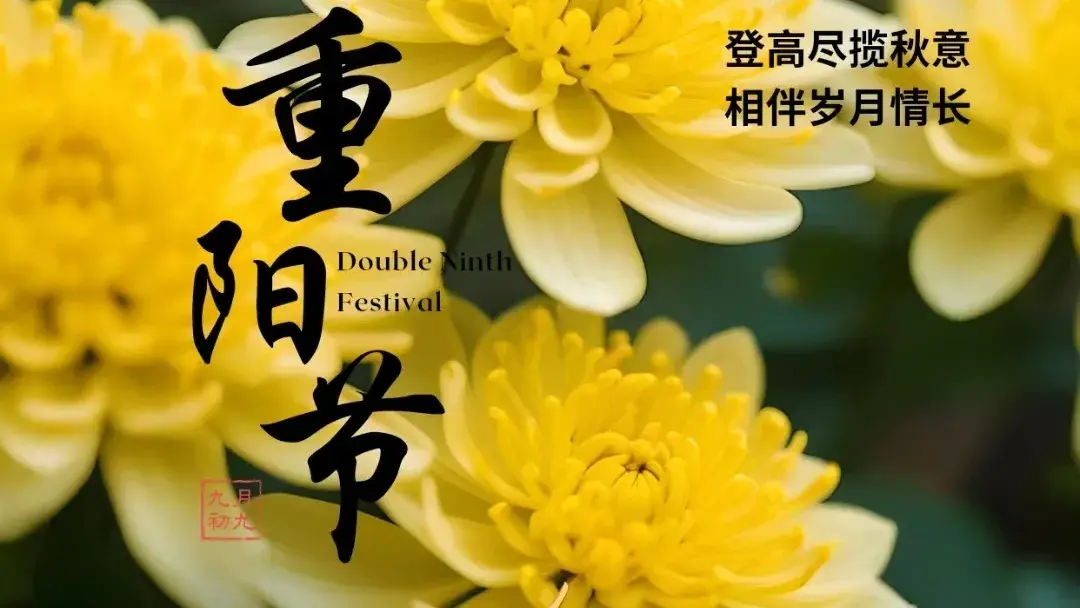 重阳节的风俗习惯(重阳节要做的四件事和有关习俗)(图2) 重阳节的风俗习惯(重阳节要做的四件事和有关习俗)(图2)