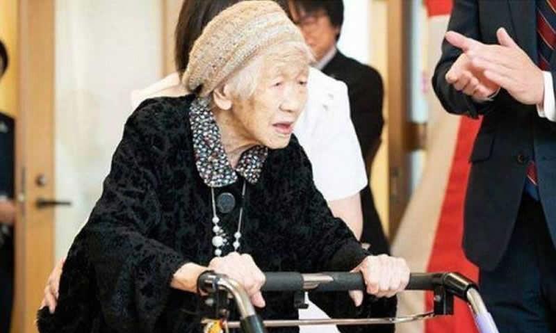 世界上最长寿的人(世界最长寿者田中力子:118岁的她曾两度患癌,自言有三大秘诀)(图10) 世界上最长寿的人(世界最长寿者田中力子:118岁的她曾两度患癌,自言有三大秘诀)(图10)