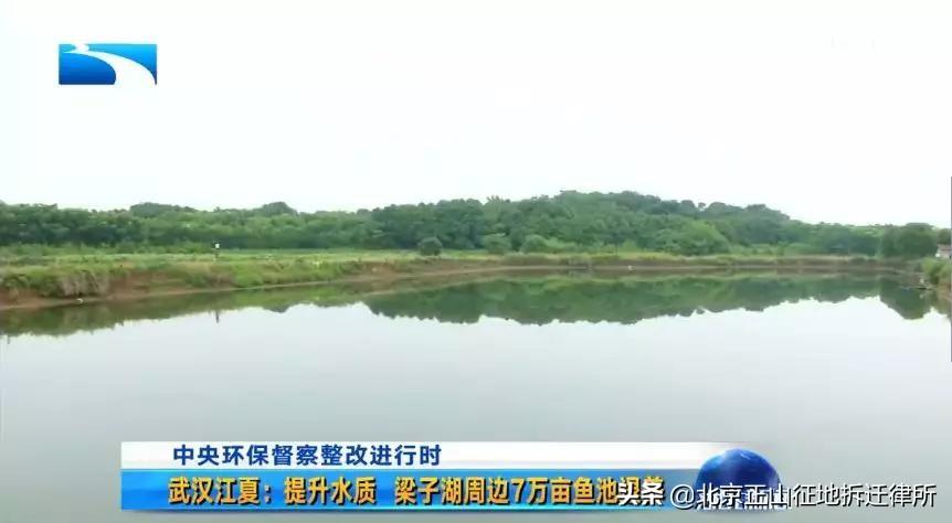 鱼塘征收补偿多少钱一亩(鱼塘退养,为什么面积越大补偿反而越少)(图1) 鱼塘征收补偿多少钱一亩(鱼塘退养,为什么面积越大补偿反而越少)(图1)