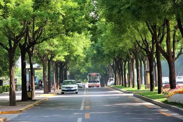 温带季风气候典型地区(温带季风气候)(图10) 温带季风气候典型地区(温带季风气候)(图10)