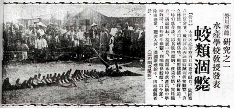 营口坠龙事件是真的吗(未解之谜:营口坠龙事件)(图1) 营口坠龙事件是真的吗(未解之谜:营口坠龙事件)(图1)