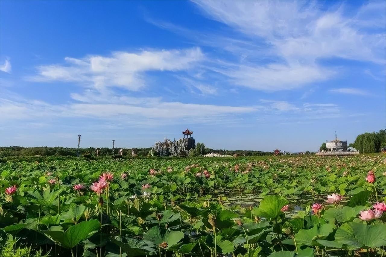中国最大湖泊(我国面积最大的十大淡水湖,你知道都有哪些吗)(图3) 中国最大湖泊(我国面积最大的十大淡水湖,你知道都有哪些吗)(图3)