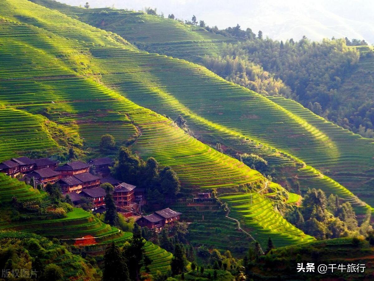 广西旅游最值得去的景点(广西最值得去的8个景点,去过4个算合格,你去过几个)(图10) 广西旅游最值得去的景点(广西最值得去的8个景点,去过4个算合格,你去过几个)(图10)